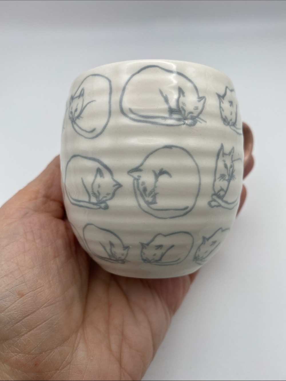 Cute Anthropologie cat cats cup and soucer for coffee espresso white pink new - Picture 7 of 13